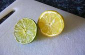 À l’aide de restes citrons et limes