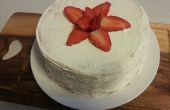Gâteau de crème aux fraises au chocolat