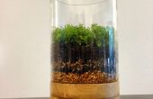Comment faire un Terrarium Moss