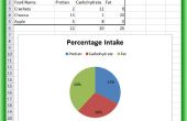 Comment utiliser Microsoft Excel 2010 pour suivre les pourcentages des catégories