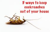 5 façons de garder les cafards hors de votre maison