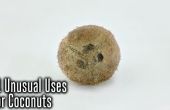 31 utilisations inhabituelles pour la noix de coco
