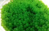 Comment faire le caviar vert