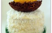 Gâteau de noix de coco nid d’oeuf