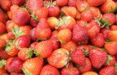 Fraises (Photo Concours Red semaine)