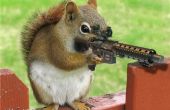 Comment survivre à 2012 écureuil Invasion