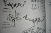 Comment planifier une maison de l’arbre