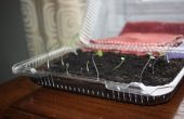 Simple Green House/Seed Starter