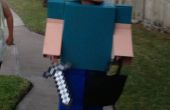 Costume complet de Minecraft Steve