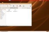 Comment installer Flash sur Ubuntu Linux, la solution de facilité ! 