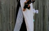 Costume d’Halloween : Régnant chats chiens &