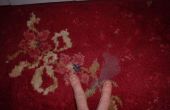 Comment supprimer la cire d’un tapis Axminster