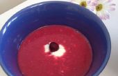 Réfrigérés Cranberry « Soupe »