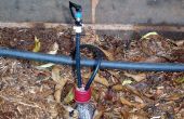 Sage solution d’irrigation de racines et le feuillage d’eau