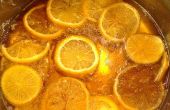 SAUCE citron tranches IN A SIMPLE sirop