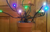 Cultivez votre propre couleur changeant LED Plant ! 