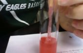 Comment l’ADN extrait d’une fraise