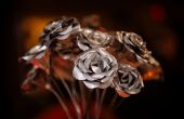 Roses de bidon en aluminium