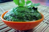 Saine & délicieux Chutney indien vert (Dip)