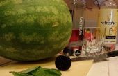 Recyclage de melon-Berry
