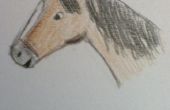 Comment dessiner Face un cheval