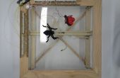 Bug-capture Spider Web, partie 1