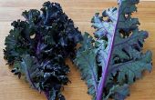 Comment hacher kale