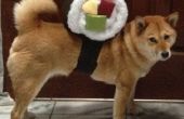 Sushi Roll Dog Costume