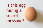 Le Secret de le œuf de Message Secret