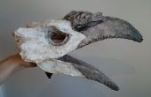 Marionnette de crâne oiseaux