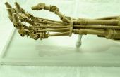 Terminator bras bricolage Sculpture en carton