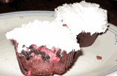 Framboise et Oreo Sorbet Cupcakes