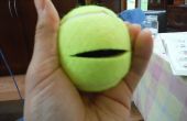 Conteneur secret de tennis ball