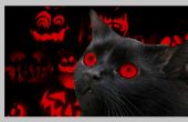 Concours de retouche de Photo Pixlr Halloween