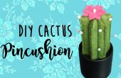 DIY pincushion Cactus ! 