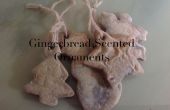 Sel pâte Gingerbread Cookies parfumés