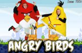 Maison Angry Birds Halloween Costumes ! 