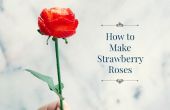 Comment faire des Roses aux fraises