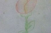 Comment dessiner une tulipe