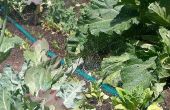 Jardin de légumes suintant tuyau Irrigation