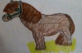 Comment dessiner un poney