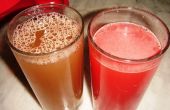 Thérapie de jus de melon d’eau pour l’acide urique