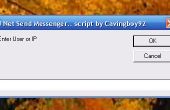 VBS Net Messenger envoyer