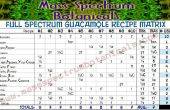 Plein spectre Guacamole recette Designer Table