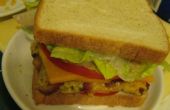 Carré de Sandwich-déjeuner