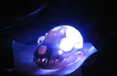 Crâne de raton laveur LED USB