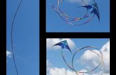 Une queue de cerf-volant arc-en-ciel en spirale à partir de zéro