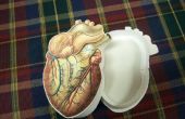 Anatomique Heart-shaped Box (pour votre Valentine unique.) 