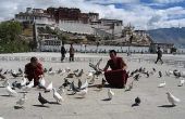 Conseils : acclimater à haute altitude à deux premiers jours en Lhasa.1