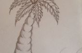 Comment dessiner un palmier